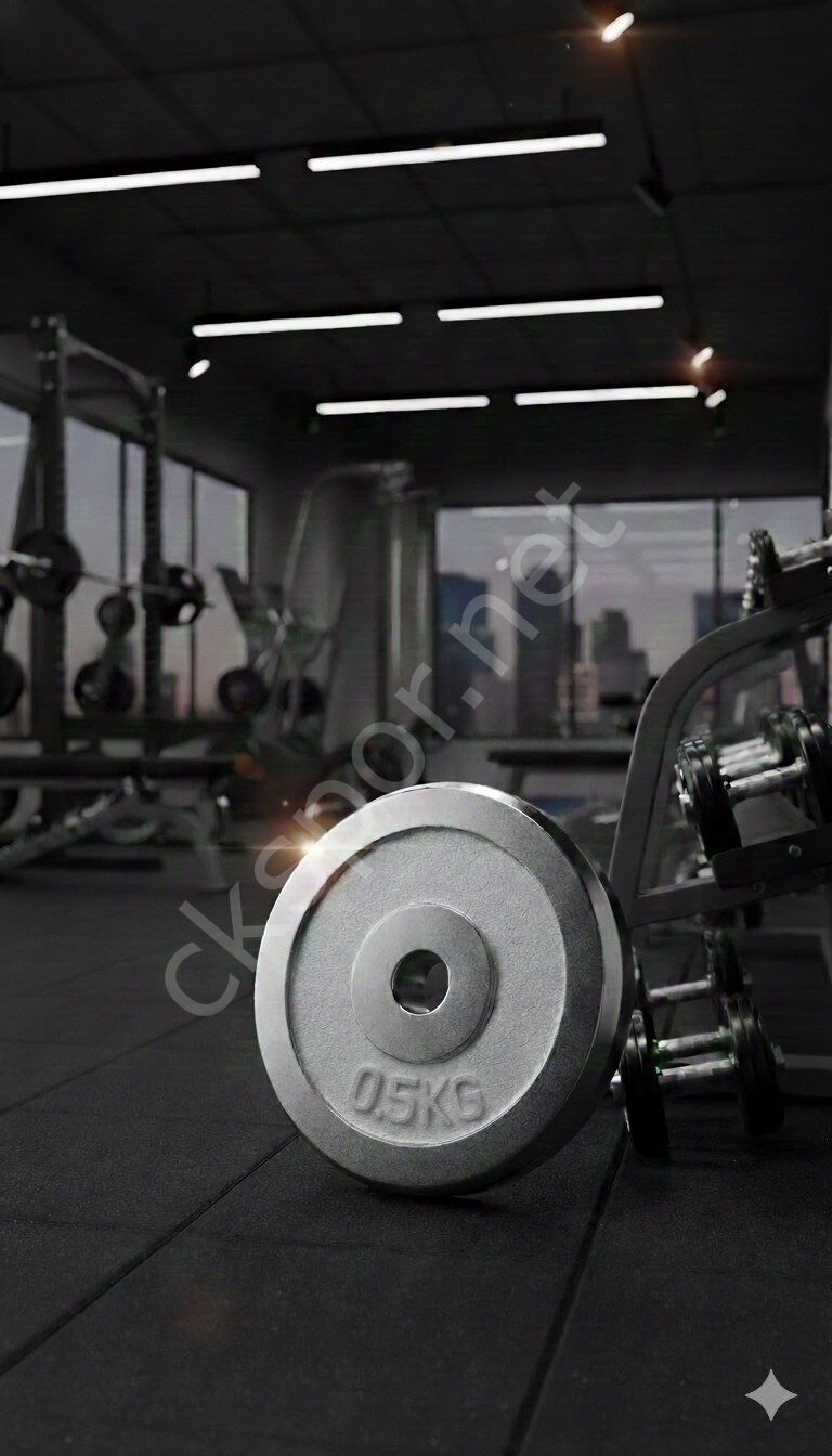 50 KG Dambıl Krom Dambıl 0,5 KG Ağırlık Plaka