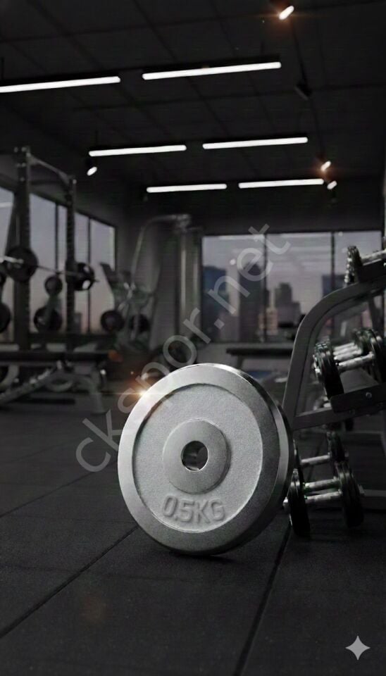 50 KG Dambıl Krom Dambıl 0,5 KG Ağırlık Plaka