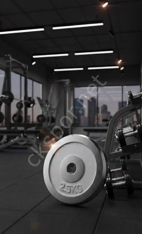 50 KG Dambıl Krom Dambıl 2,5 KG Ağırlık Plaka