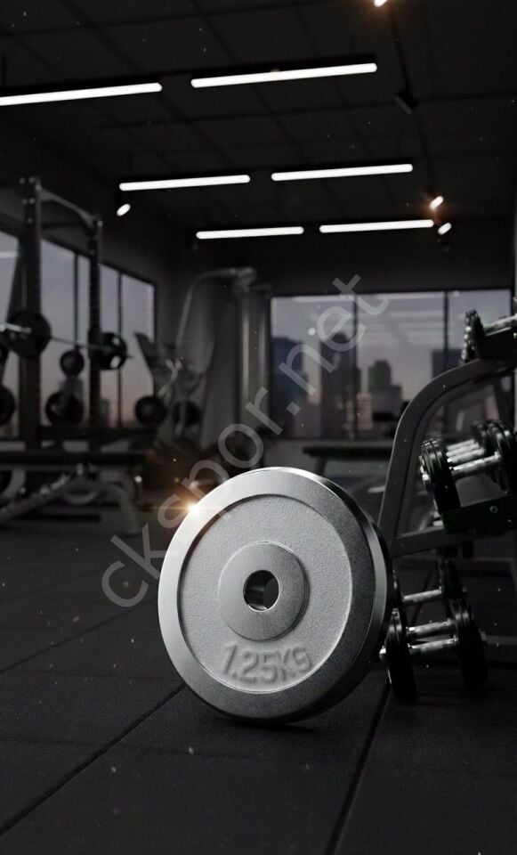 50 KG Dambıl Crom Dambıl 1,25 KG Ağırlık Plaka