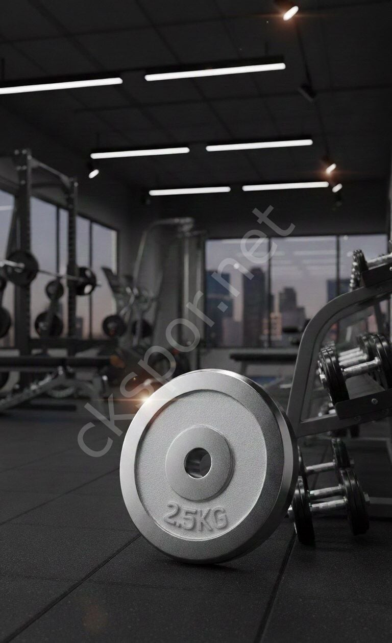 50 KG Dambıl Krom Dambıl 5 KG Ağırlık Plaka