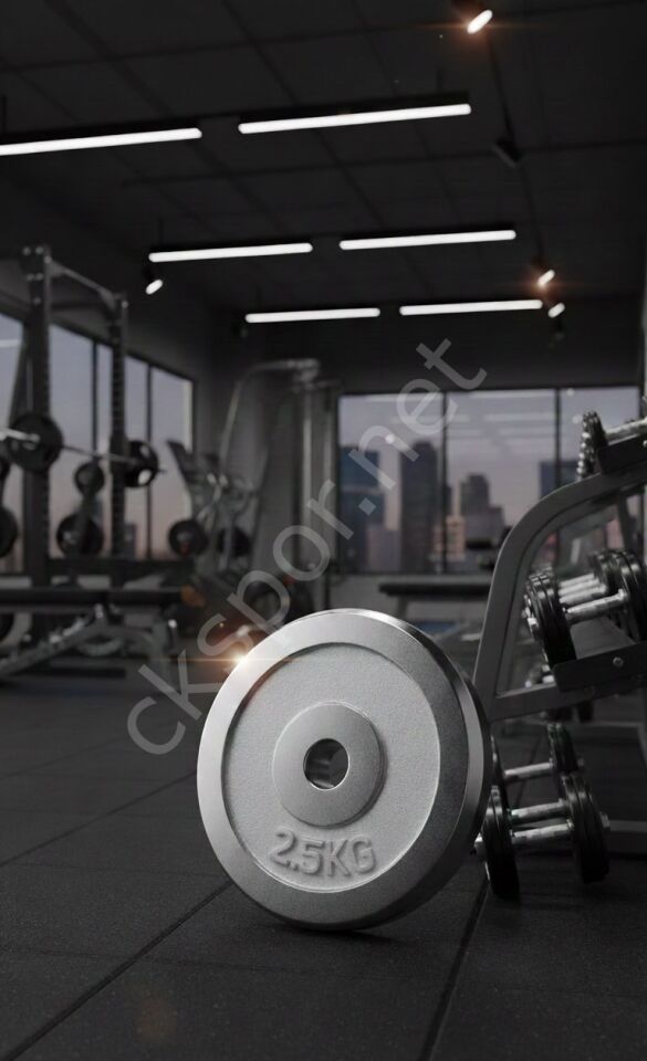 50 KG Dambıl Krom Dambıl 5 KG Ağırlık Plaka