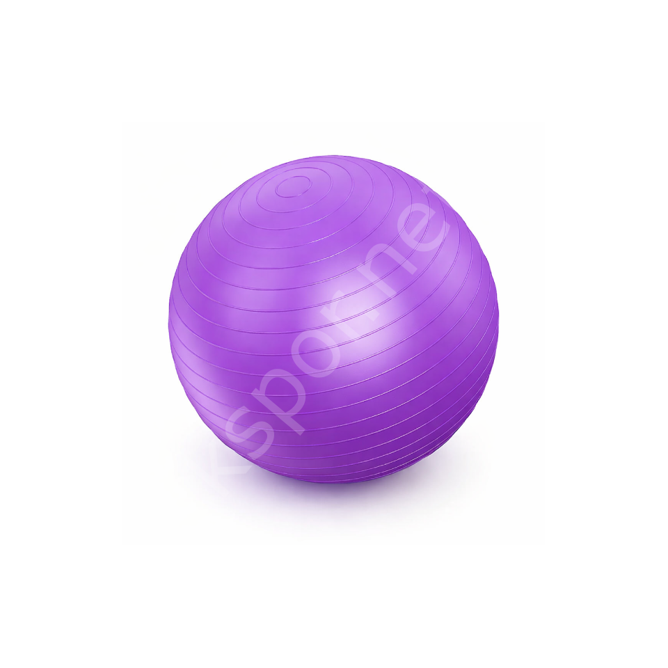 65 CM Pilates Topu Mor