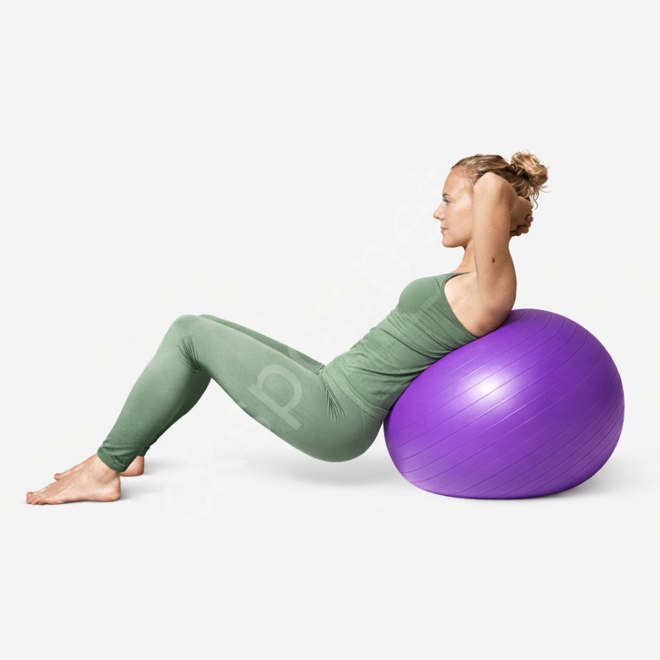 65 CM Pilates Topu Mor