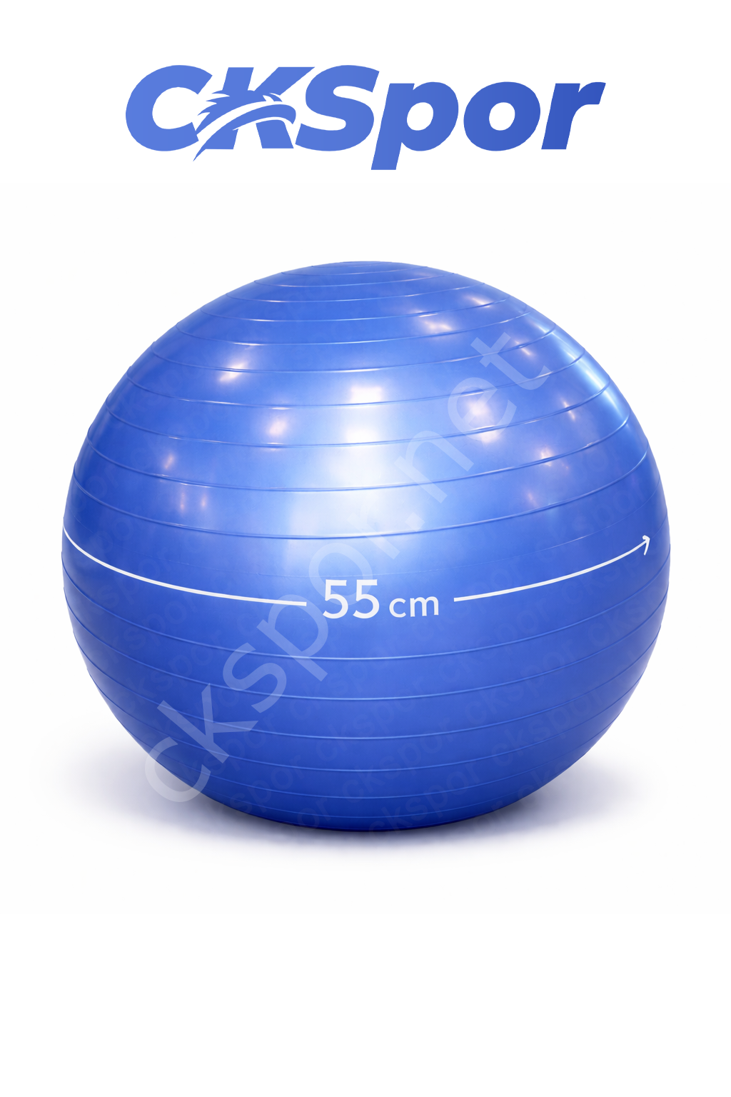55 CM Pilates Topu Mavi