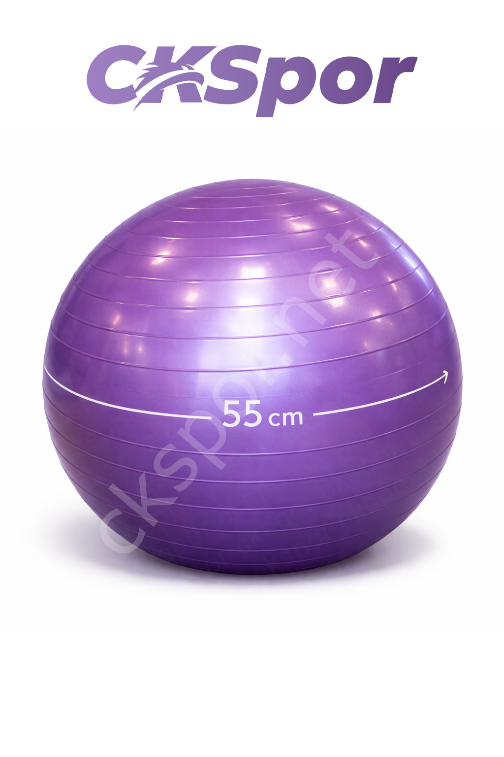 55 CM Pilates Topu Mor