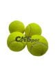 12’li Fileli Tenis Topları – Antrenman Topu Seti