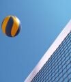 Voleybol Filesi